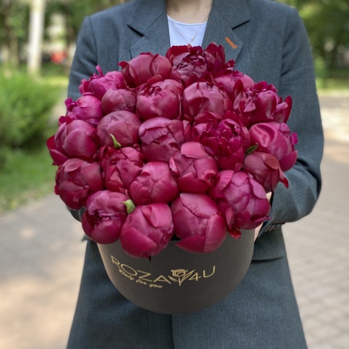 25 пионов Канзас в коробке